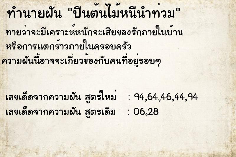 ทำนายฝัน ปีนต้นไม้หนีนำท่วม ทำนายฝัน ปีนต้นไม้หนีนำท่วม