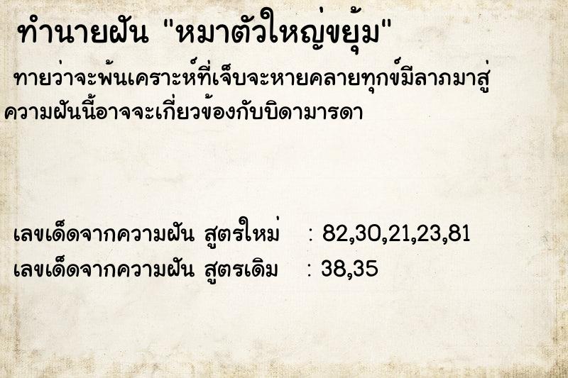 ทำนายฝันหมาตัวใหญ่ขยุ้ม ทำนายฝันทำนายฝันหมาตัวใหญ่ขยุ้ม