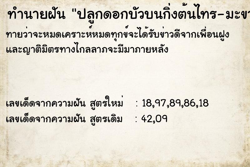 ทำนายฝันทำนายฝันปลูกดอกบัวบนกิ่งต้นไทร-มะขาม