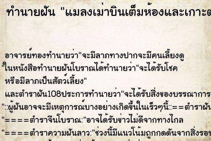 ทำนายฝัน แมลงเม่าบินเต็มห้องและเกาะตามตัว