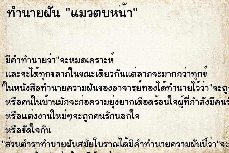 ทำนายฝัน แมวตบหน้า ทำนายฝัน แมวตบหน้า