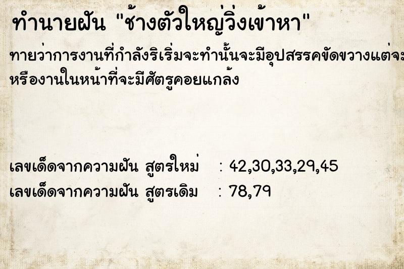 ทำนายฝันช้างตัวใหญ่วิ่งเข้าหา ทำนายฝันทำนายฝันช้างตัวใหญ่วิ่งเข้าหา