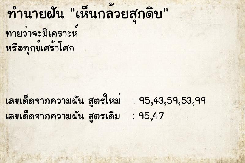 ทำนายฝันเห็นกล้วยสุกดิบ ทำนายฝันทำนายฝันเห็นกล้วยสุกดิบ