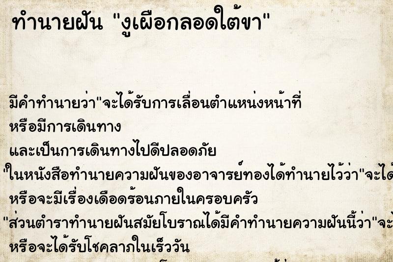 ทำนายฝันงูเผือกลอดใต้ขา ทำนายฝันทำนายฝันงูเผือกลอดใต้ขา