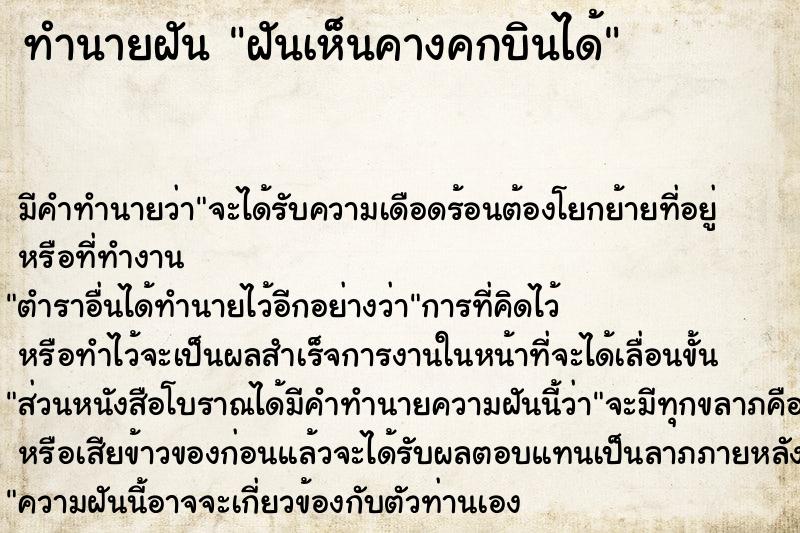 ทำนายฝันทำนายฝันฝันเห็นคางคกบินได้