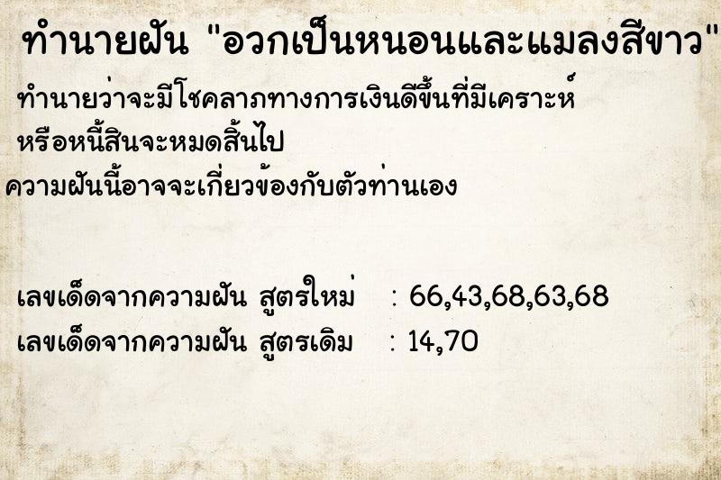 ทำนายฝัน อวกเป็นหนอนและแมลงสีขาว ทำนายฝัน อวกเป็นหนอนและแมลงสีขาว