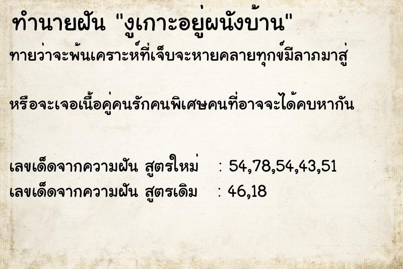 ทำนายฝันทำนายฝันงูเกาะอยู่ผนังบ้าน