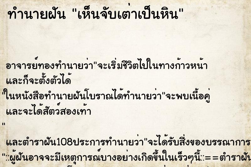 ทำนายฝันทำนายฝันเห็นจับเต่าเป็นหิน