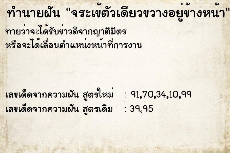 ทำนายฝันทำนายฝันจระเข้ตัวเดียวขวางอยู่ข้างหน้า