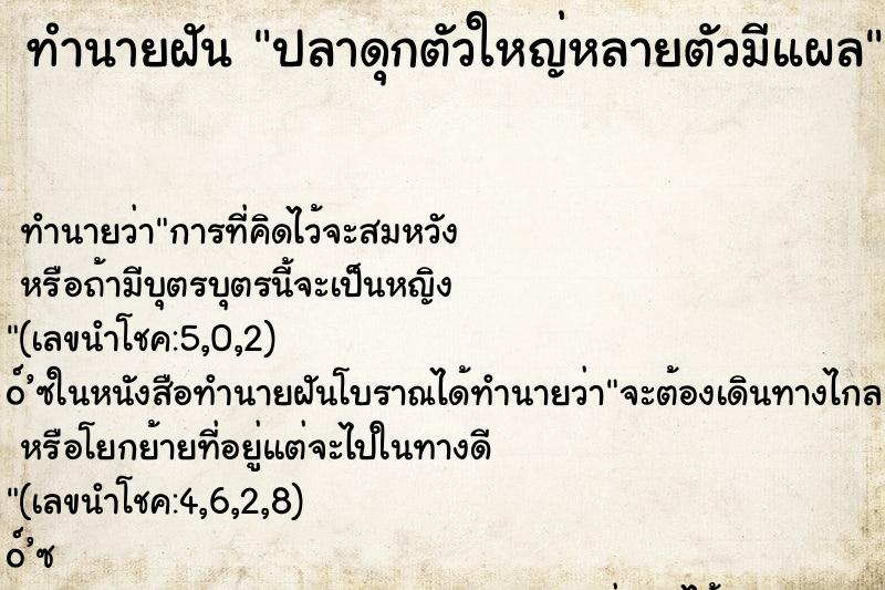 ทำนายฝัน ปลาดุกตัวใหญ่หลายตัวมีแผล ทำนายฝัน ปลาดุกตัวใหญ่หลายตัวมีแผล