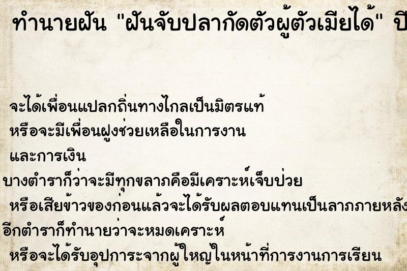ทำนายฝัน ฝันจับปลากัดตัวผู้ตัวเมียได้