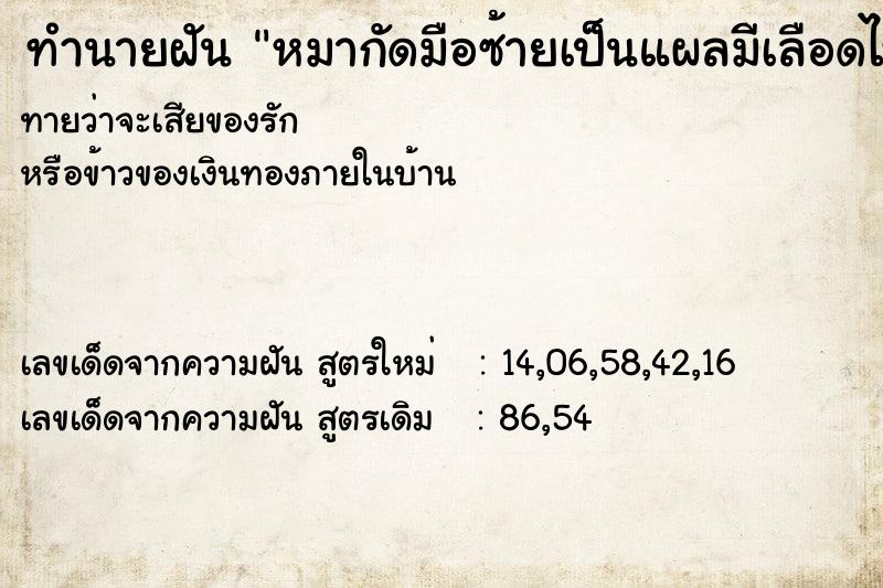 ทำนายฝัน หมากัดมือซ้ายเป็นแผลมีเลือดไหล ทำนายฝัน หมากัดมือซ้ายเป็นแผลมีเลือดไหล