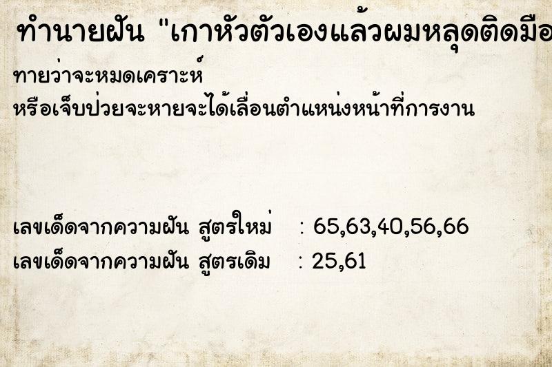 ทำนายฝันทำนายฝันเกาหัวตัวเองแล้วผมหลุดติดมือมาเป็นกำ