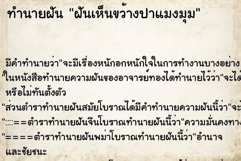 ทำนายฝันทำนายฝันฝันเห็นขว้างปาแมงมุม