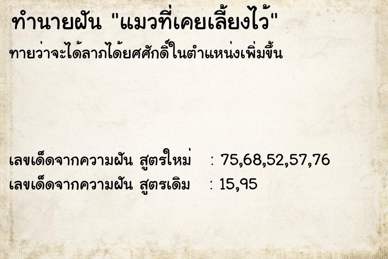 ทำนายฝันแมวที่เคยเลี้ยงไว้ ทำนายฝันทำนายฝันแมวที่เคยเลี้ยงไว้