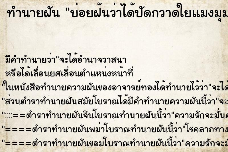 ทำนายฝันบ่อยฝ้นว่าได้ปัดกวาดใยแมงมุม ทำนายฝันทำนายฝันบ่อยฝ้นว่าได้ปัดกวาดใยแมงมุม