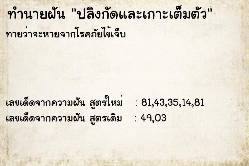 ทำนายฝันทำนายฝันปลิงกัดและเกาะเต็มตัว