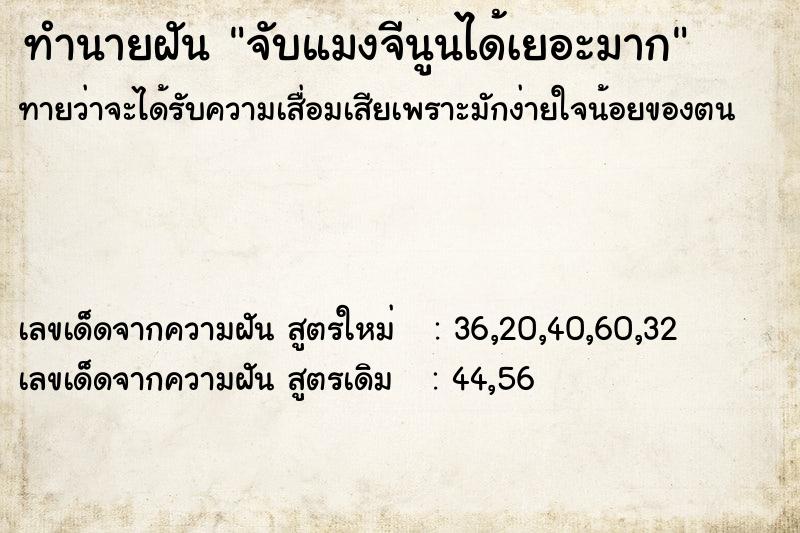 ทำนายฝันทำนายฝันจับแมงจีนูนได้เยอะมาก
