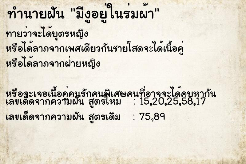 ทำนายฝันมีงูอยู่ในร่มผ้า ทำนายฝันทำนายฝันมีงูอยู่ในร่มผ้า