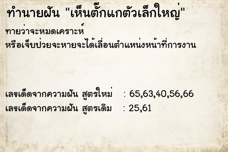 ทำนายฝันเห็นตั๊กแกตัวเล็กใหญ่ ทำนายฝันทำนายฝันเห็นตั๊กแกตัวเล็กใหญ่