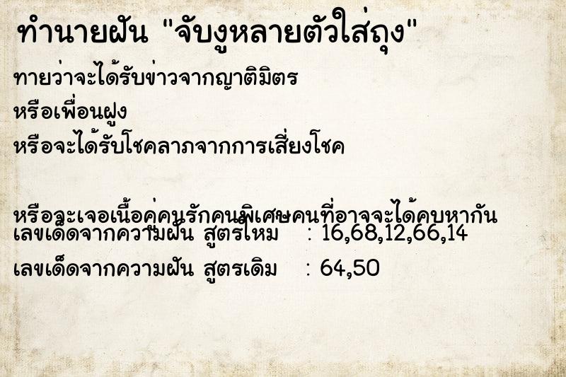 ทำนายฝันจับงูหลายตัวใส่ถุง ทำนายฝันทำนายฝันจับงูหลายตัวใส่ถุง