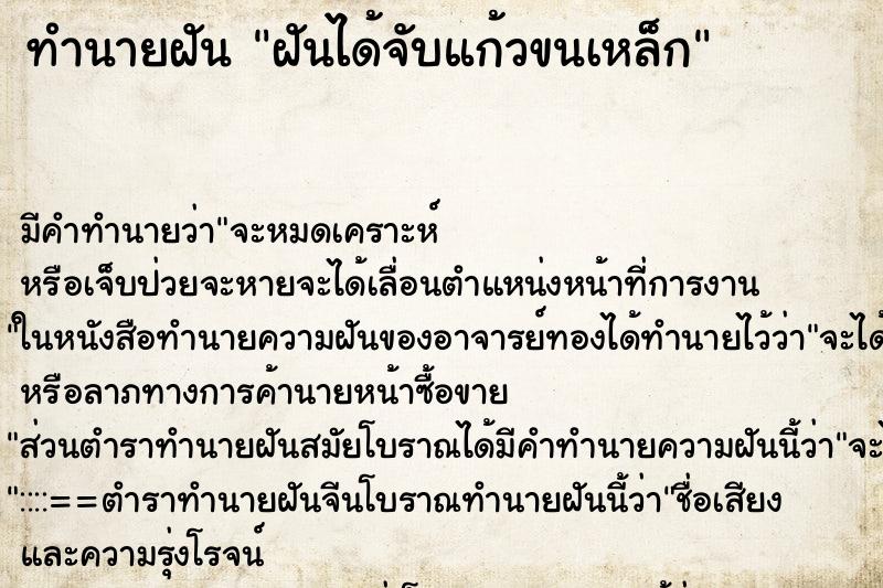 ทำนายฝัน ฝันได้จับแก้วขนเหล็ก ทำนายฝัน ฝันได้จับแก้วขนเหล็ก