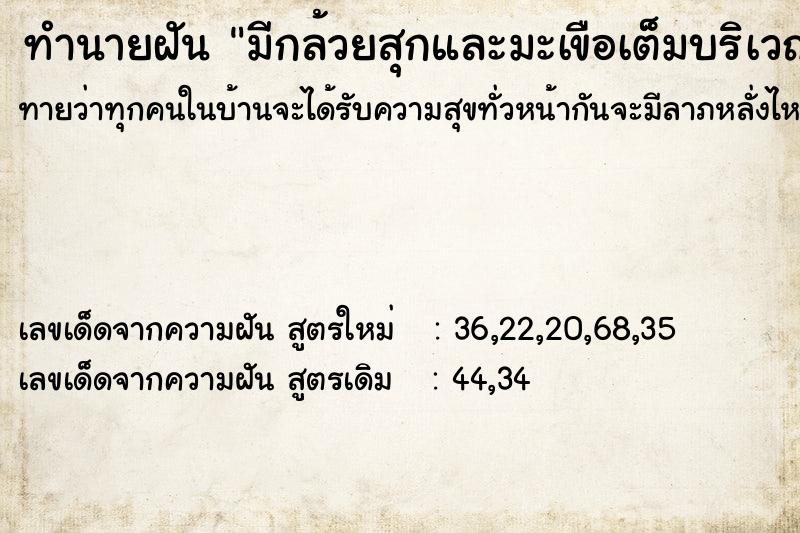 ทำนายฝันมีกล้วยสุกและมะเขือเต็มบริเวณสวน ทำนายฝันทำนายฝันมีกล้วยสุกและมะเขือเต็มบริเวณสวน
