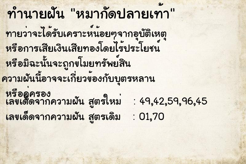 ทำนายฝันหมากัดปลายเท้า ทำนายฝันทำนายฝันหมากัดปลายเท้า