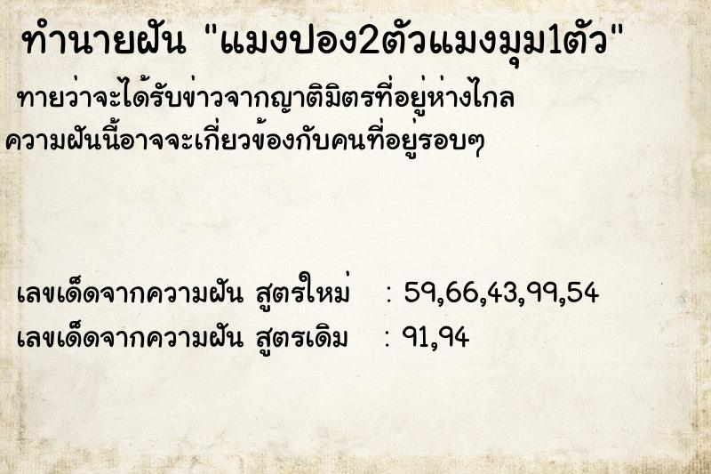 ทำนายฝันแมงปอง2ตัวแมงมุม1ตัว ทำนายฝันทำนายฝันแมงปอง2ตัวแมงมุม1ตัว