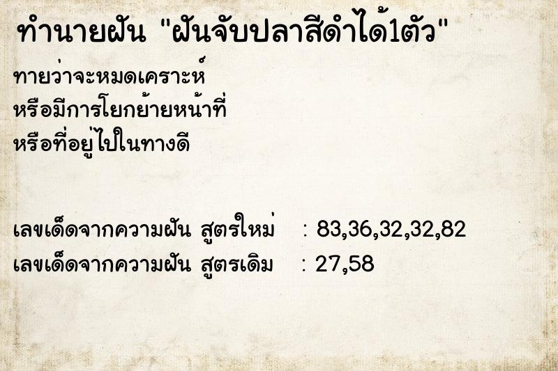 ทำนายฝันฝันจับปลาสีดำได้1ตัว ทำนายฝันทำนายฝันฝันจับปลาสีดำได้1ตัว