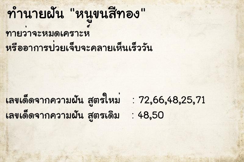 ทำนายฝันทำนายฝันหนูขนสีทอง