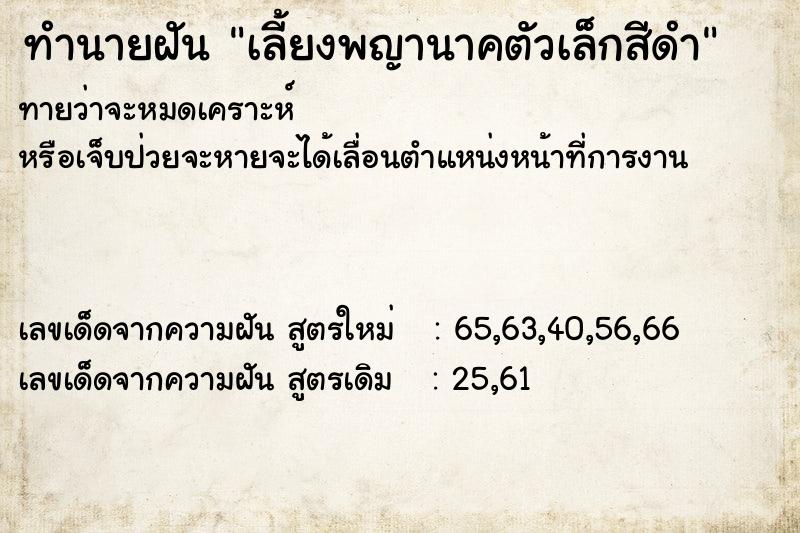 ทำนายฝันทำนายฝันเลี้ยงพญานาคตัวเล็กสีดำ
