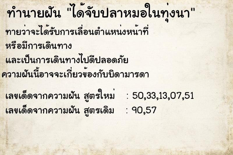 ทำนายฝัน ได้จับปลาหมอในทุ่งนา ทำนายฝัน ได้จับปลาหมอในทุ่งนา