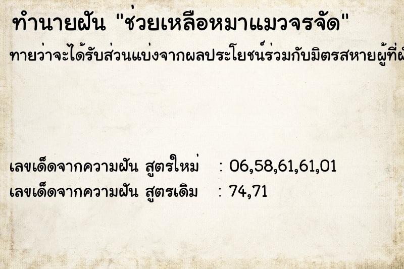 ทำนายฝันช่วยเหลือหมาแมวจรจัด ทำนายฝันทำนายฝันช่วยเหลือหมาแมวจรจัด