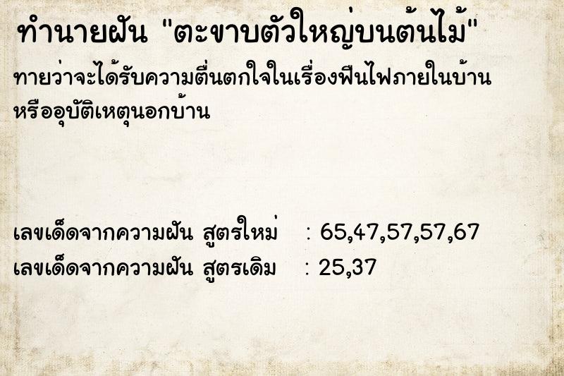 ทำนายฝัน ตะขาบตัวใหญ่บนต้นไม้ ทำนายฝัน ตะขาบตัวใหญ่บนต้นไม้