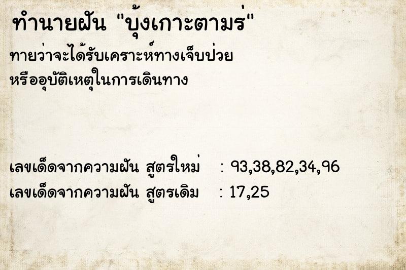 ทำนายฝันบุ้งเกาะตามร่ ทำนายฝันทำนายฝันบุ้งเกาะตามร่