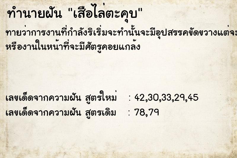 ทำนายฝันเสือไล่ตะคุบ ทำนายฝันทำนายฝันเสือไล่ตะคุบ