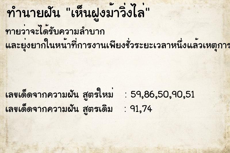 ทำนายฝัน เห็นฝูงม้าวิ่งไล่ ทำนายฝัน เห็นฝูงม้าวิ่งไล่
