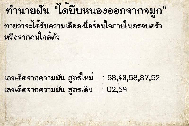 ทำนายฝันได้บีบหนองออกจากจมูก ทำนายฝันทำนายฝันได้บีบหนองออกจากจมูก