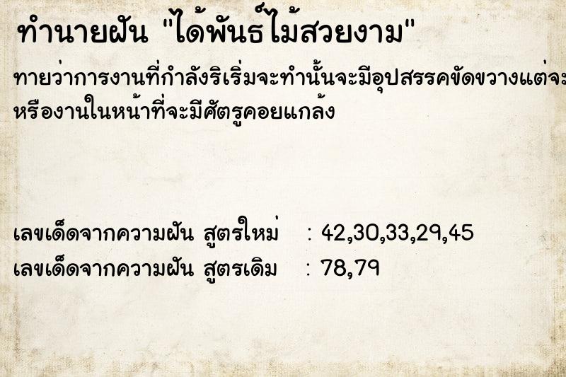 ทำนายฝัน ได้พันธ์ไม้สวยงาม ทำนายฝัน ได้พันธ์ไม้สวยงาม
