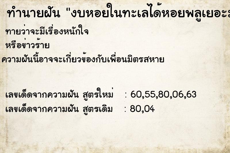 ทำนายฝันงบหอยในทะเลได้หอยพลูเยอะมาก ทำนายฝันทำนายฝันงบหอยในทะเลได้หอยพลูเยอะมาก