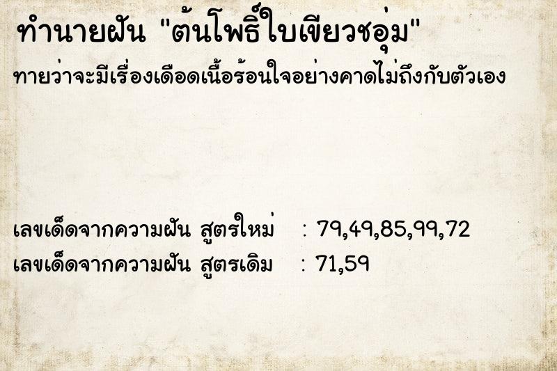 ทำนายฝันต้นโพธิ์ใบเขียวชอุ่ม ทำนายฝันทำนายฝันต้นโพธิ์ใบเขียวชอุ่ม