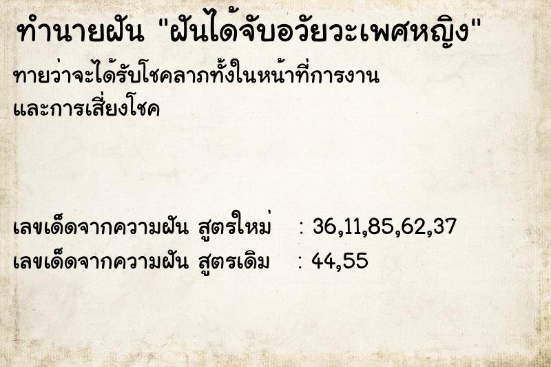 ทำนายฝันฝันได้จับอวัยวะเพศหญิง ทำนายฝันทำนายฝันฝันได้จับอวัยวะเพศหญิง