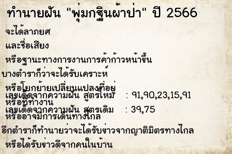 ทำนายฝัน พุ่มกฐินผ้าป่า