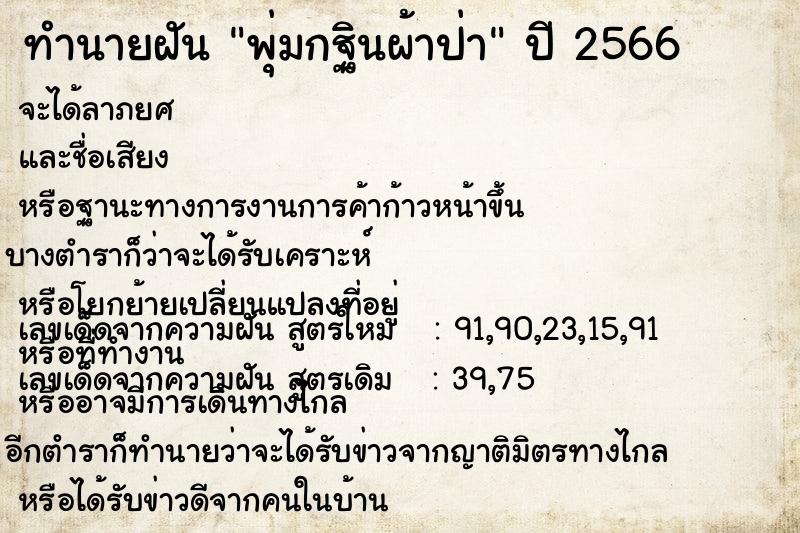 ทำนายฝัน พุ่มกฐินผ้าป่า ตำราโบราณ แม่นที่สุดในโลก