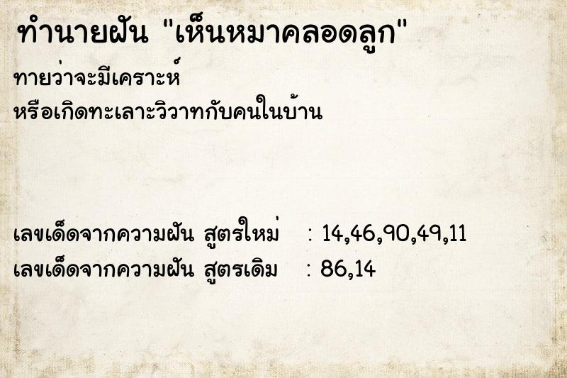 ทำนายฝัน เห็นหมาคลอดลูก ทำนายฝัน เห็นหมาคลอดลูก
