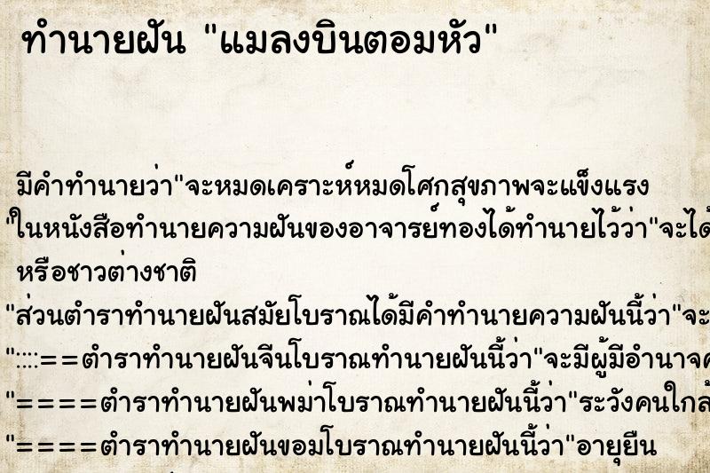 ทำนายฝันทำนายฝันแมลงบินตอมหัว