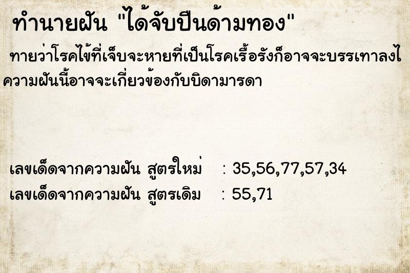 ทำนายฝันได้จับปืนด้ามทอง ทำนายฝันทำนายฝันได้จับปืนด้ามทอง