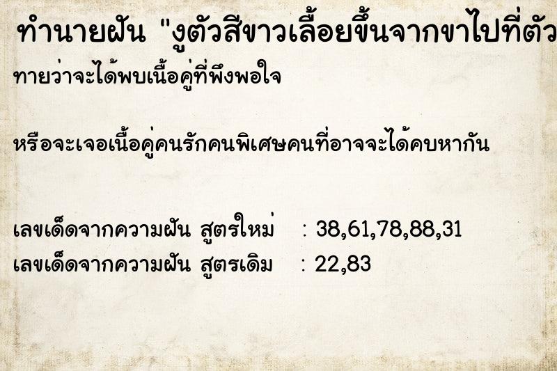 ทำนายฝันงูตัวสีขาวเลื้อยขึ้นจากขาไปที่ตัวของพ่อเรา ทำนายฝันทำนายฝันงูตัวสีขาวเลื้อยขึ้นจากขาไปที่ตัวของพ่อเรา