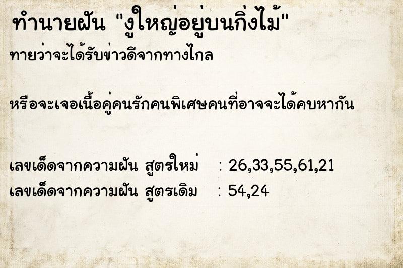 ทำนายฝันงูใหญ่อยู่บนกิ่งไม้ ทำนายฝันทำนายฝันงูใหญ่อยู่บนกิ่งไม้